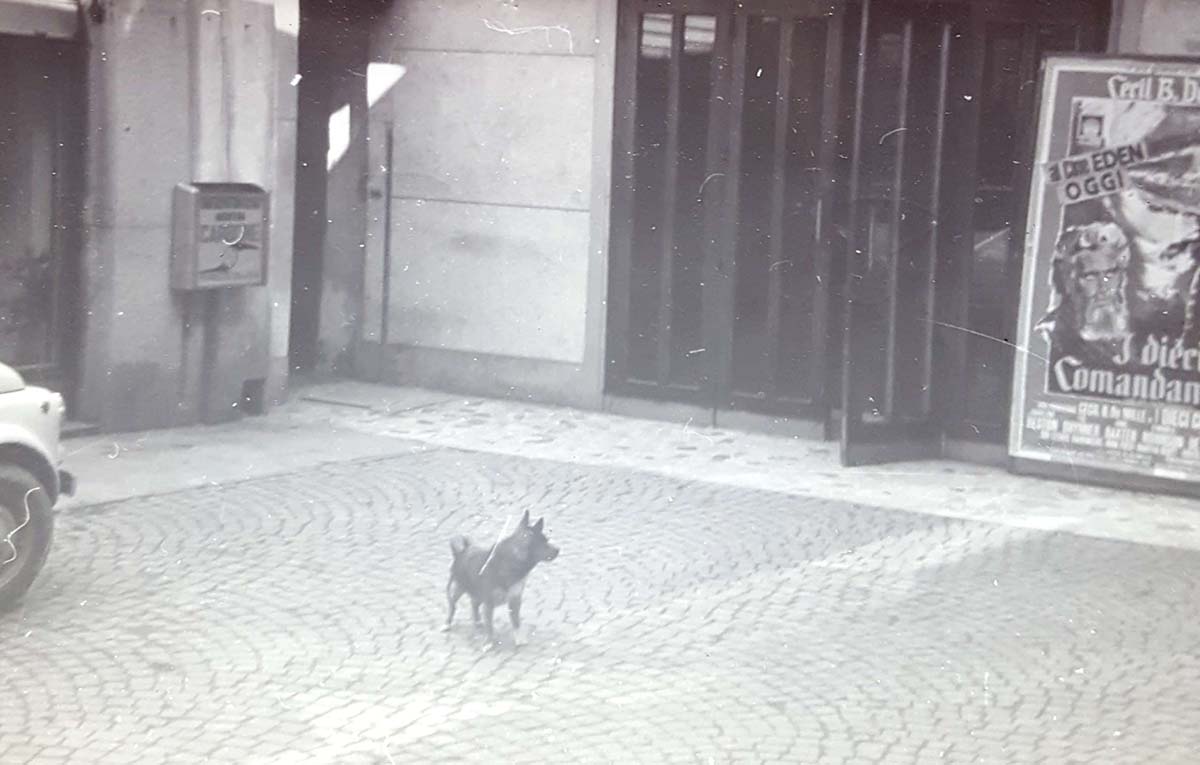 Vecchio ingresso con il cane Brick. anni 60-70.