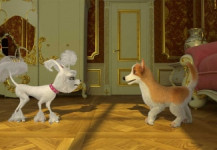 Sansone e Margot : Due Cuccioli all’Opera