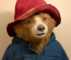 Paddington in Perù