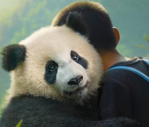 Moon The Panda