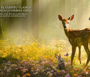 Bambi
