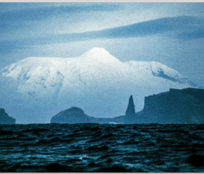 The Great White Whale