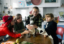 Paul – Un Pinguino Da Salvare