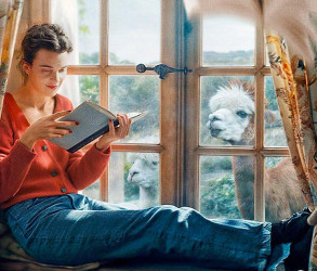 Jane Austen Ha Stravolto La Mia Vita