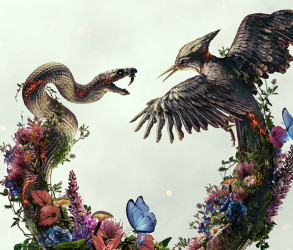 Hunger Games : L’Alba sulla Mietitura