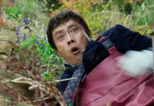 No Other Choice – Non c’è altra scelta