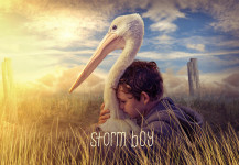 Storm Boy – Il ragazzo che sapeva volare