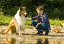 Lassie torna a casa