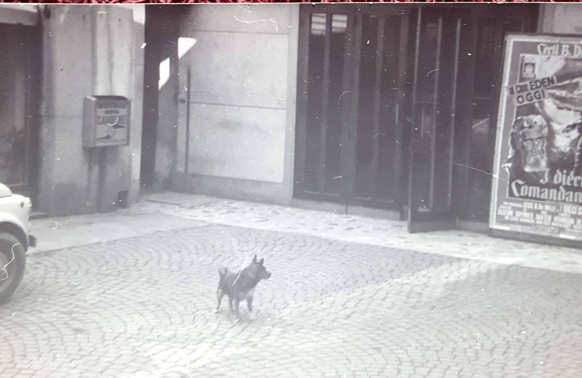 Vecchio ingresso con il cane Brick. anni 60-70.

